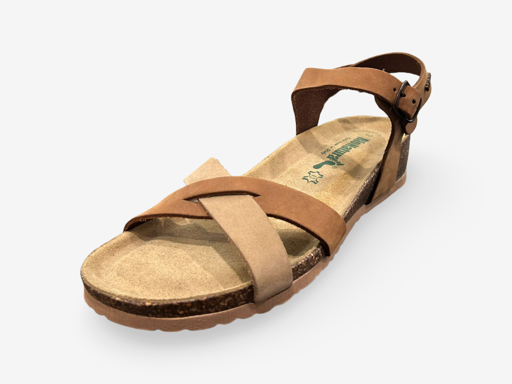 BioNatura 12 Fregene