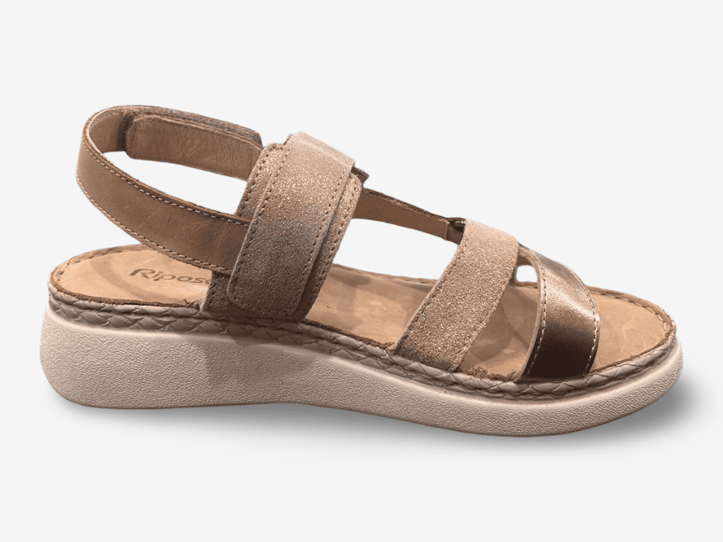 Riposella D16261