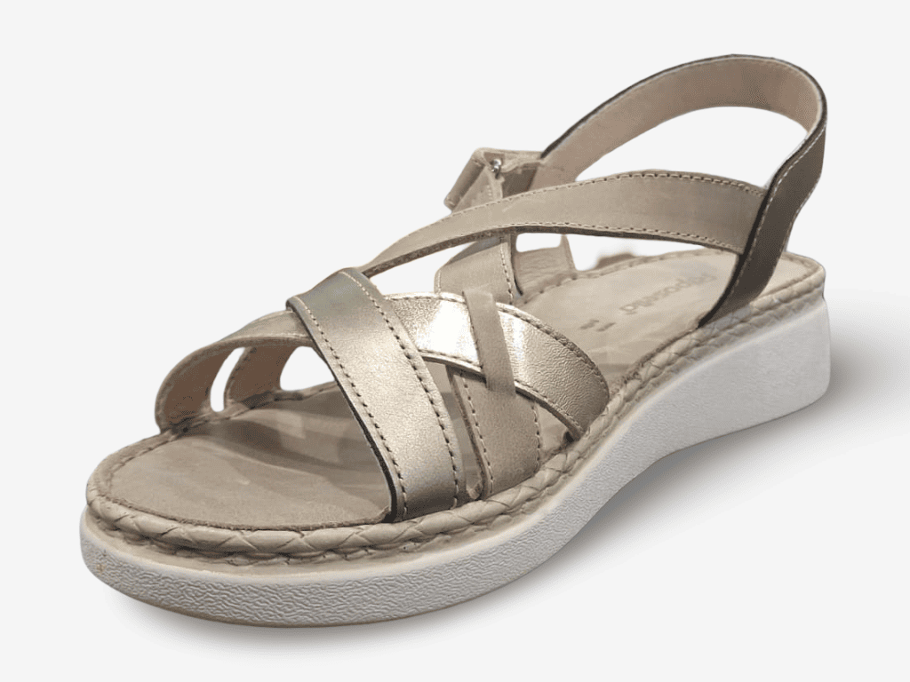 Riposella D16264